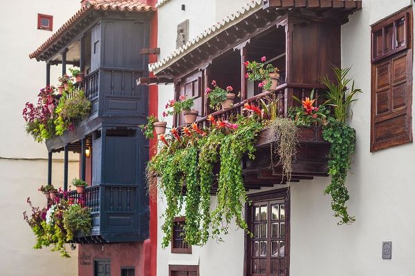 Canary Islands-La Palma Island-Santa Cruz de la Palma-traditional Canarian house balconies
